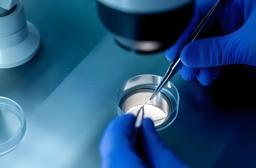 广州供卵试管子代生孩子 广州独生子女证好处 ‘32周双顶径看男女’