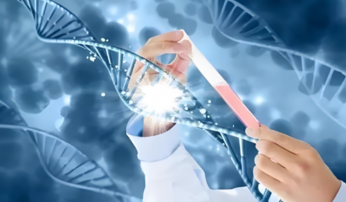 为什么有的女性在移植前要宫腔灌注？,供卵代怀公司