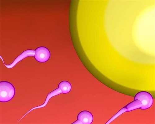 广州卵子库供卵费用清单?,广州有供卵的医院是哪一家_偶然遇见你