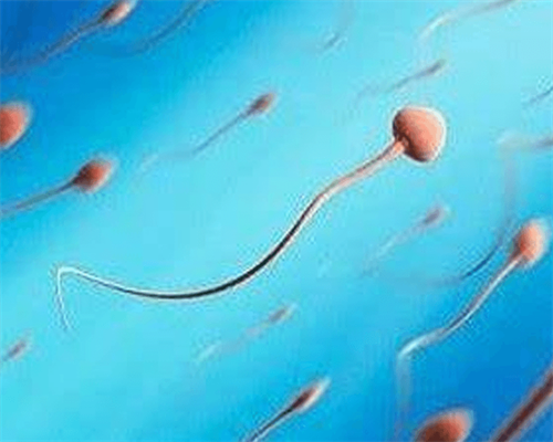 30岁女性试管婴儿移植前做三维彩超是检查什么？深度解说移植后B超检查内容~助孕产子试管