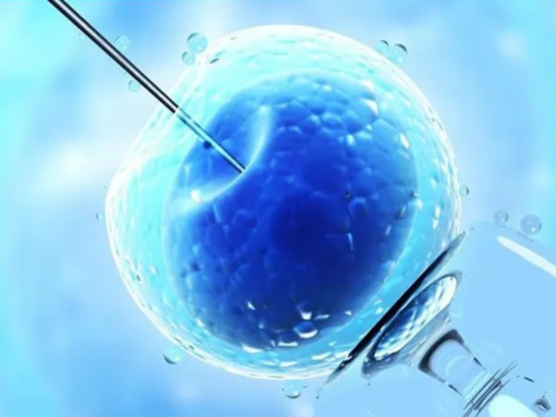 广州妇幼试管怎么样(广州妇幼做试管怎么样)-私立医院供精借卵