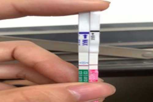 什么情况下做试管婴儿  五种情况下建议做试管婴儿