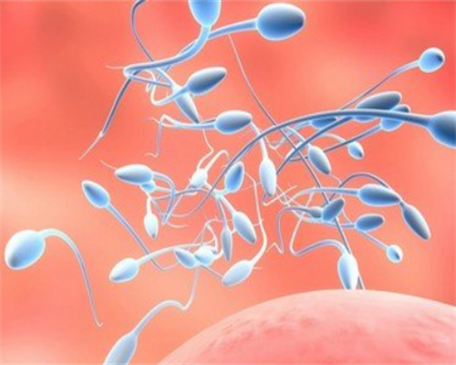 广州助孕婴儿一天打10多次喷嚏