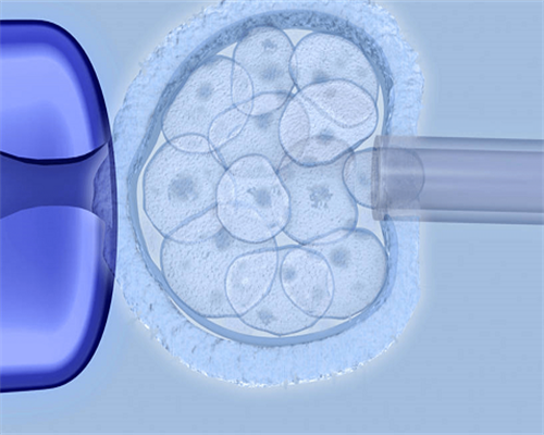 地贫也能做试管婴儿啦！地贫患者的福音！,有偿供卵医院
