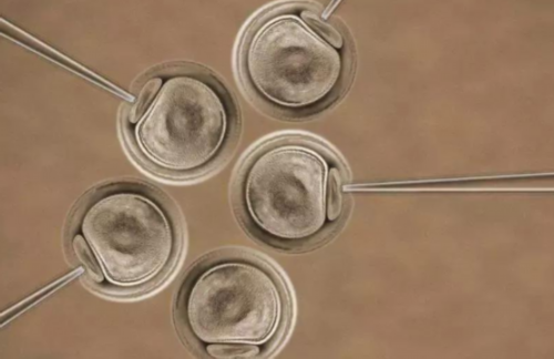 广州助孕婴儿长期拉绿屎有害吗