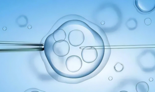 怎样喂养广州助孕婴儿