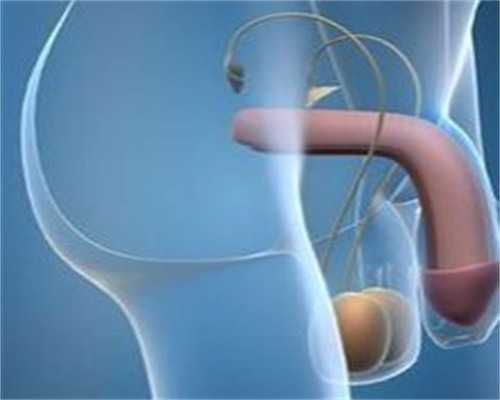 广州代孕中心哪家好,广州试管中药,广州草药市场在哪里