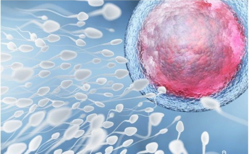 做试管广州助孕婴儿痛吗？