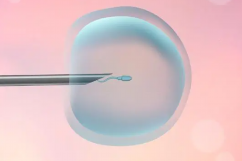 备孕期间男的能抽烟吗（烟斗合页）~代怀孩子公司