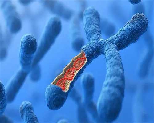 怀孕7周出血~借卵生子