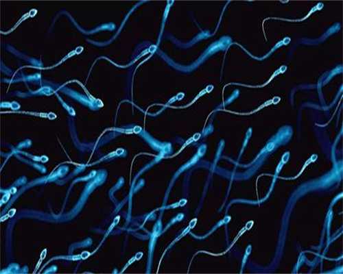 试管移植如何缓解压力及注意什么