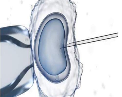 孕妇吃药对胎儿的影响