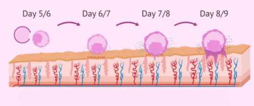 怀孕十天有什么反应,正规试管助孕