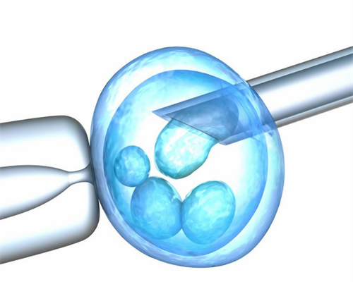 广州供卵生子医院,广州供卵试管受骗经历-生男生女清宫图准吗