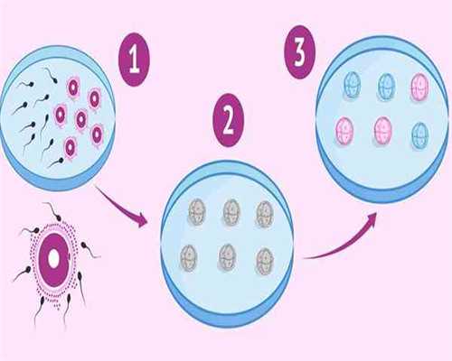 备孕指南-排卵期是什么时候？,优生代怀