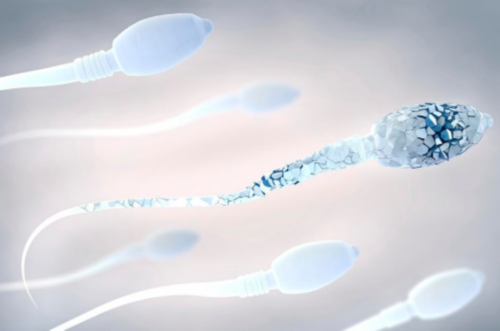 广州助孕婴儿掉床后注意事项