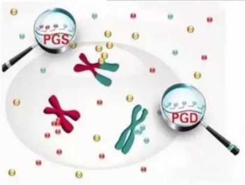 广州供卵试管要求,广州紫朵朵供卵价格_qq飞车手游玄武怎么改