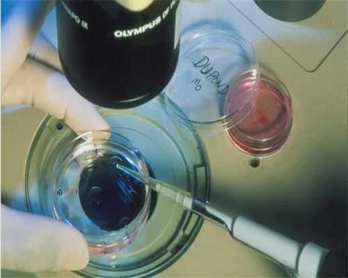 广州专业代孕公司,广州试管外资医院,广州外资医院