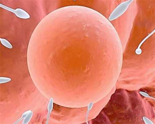 反复流产之后的不孕症，应该怎么治疗啊？~失独代怀代生