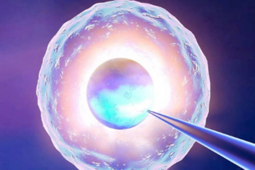 促排卵后吃地屈孕酮片的作用，地屈孕酮片吃完有啥忌口,助孕价格