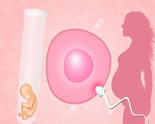 广州有提供供卵服务的医院,广州紫朵朵供卵价格_试管代怀医生