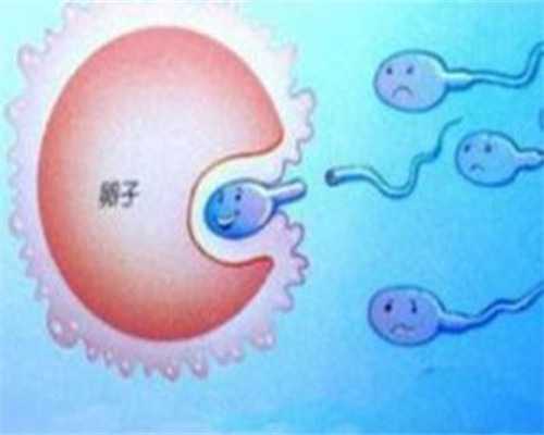 卵泡监测费用多少(检查卵泡发育情况需要憋尿吗？)~三代代孕公司