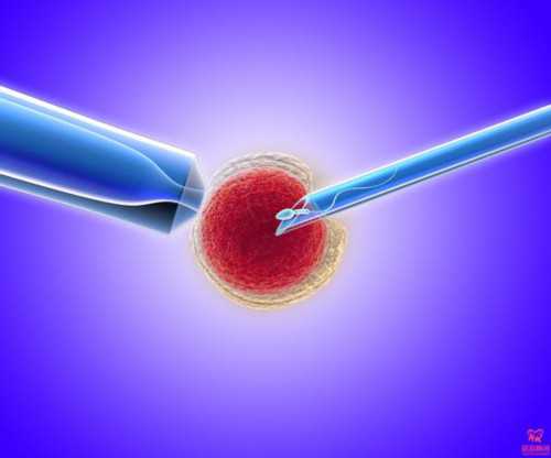 移植后多久打一次免疫球蛋白？移植免疫球蛋白什么时候打比较好？,正规试管助孕