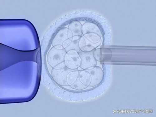 优势卵泡怀孕率高不高，测到两个优势卵泡的怀孕几率高如排出不受孕原因分三种！,代怀助孕