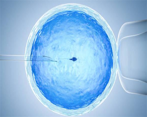 广州正规供卵代孕公司,广州试管供卵，广州金贝生殖中心官网