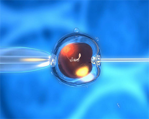 广州私人试管代怀,【广州供卵试管婴儿哪里做好】分享经验，备孕一年多没怀