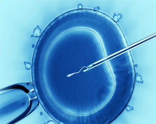 广州供卵代生技术,柬埔寨金边第一试管婴儿中心成功率大概有多高？_广州社区