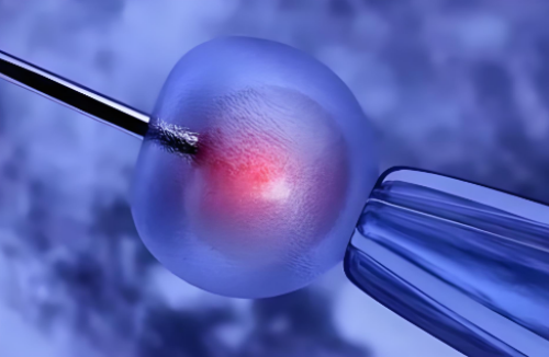 广州代孕靠谱的中心,广州有偿试管供卵机构,广州试管供卵机构