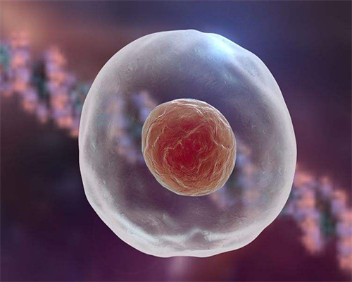 广州寺庙里买的手链忌讳,婴灵超度：武汉寺庙超度婴灵的做法和其中的奥秘