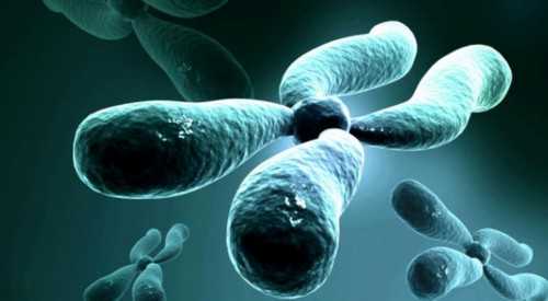 广州供卵生子医院,广州地下供卵骗局有哪些_有私立代孕医院吗