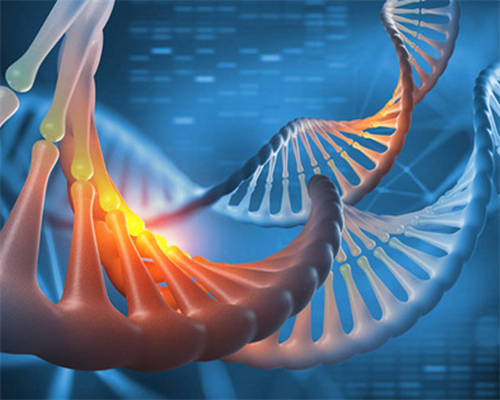 广州助孕婴儿补铁的食物