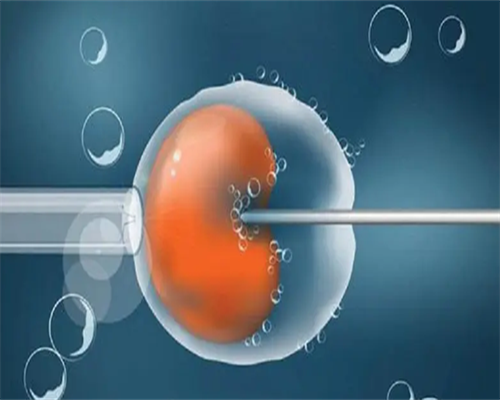 广州最正规的代孕公司,试管婴儿移植后六天，肚子堕胀，是怎么了_移植后可以