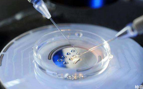 广州试管转诊推荐仁爱（广州市医院转院规定）