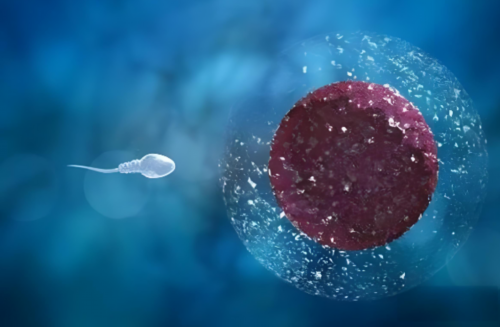 广州助孕婴儿身高长得慢