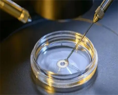 移植了之后会不会着床不稳，有体温变化图吗？~无卵代生试管