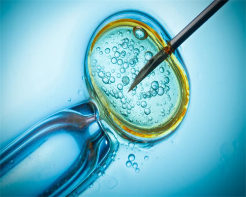 广州有做试管代怀,广州正规供卵试管医院,广州供卵医院