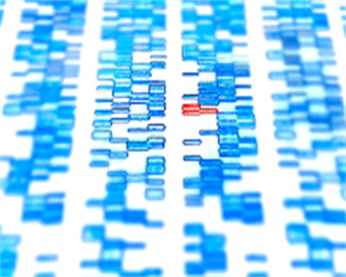 夫妻两个地贫做试管婴儿成功率-夫妻地贫可以做试管婴儿！~代怀男宝宝