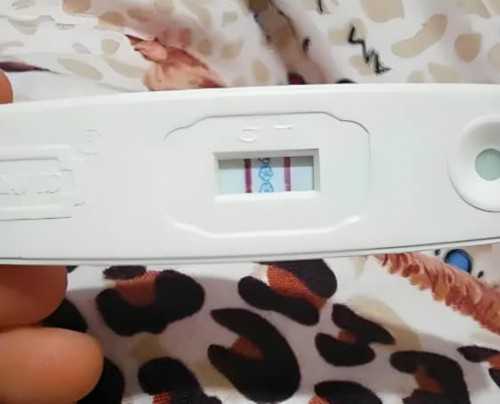 8个月广州助孕婴儿辅食