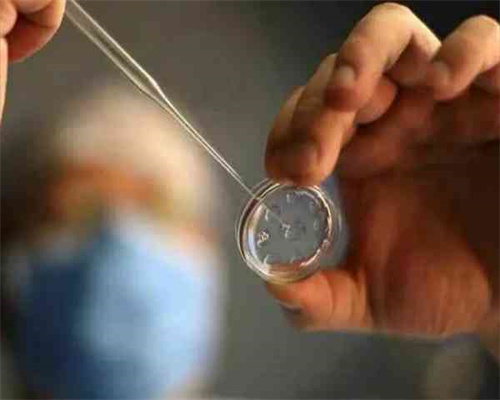 单角子宫是哪一侧怀孕的~助孕试管代怀