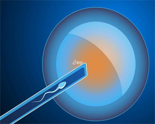 广州试管好供卵嘛,广州地下供卵试管,广州供卵试管婴儿地下