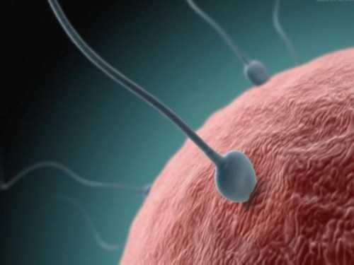 广州市不孕不育专科医院哪家好,人工代孕公司