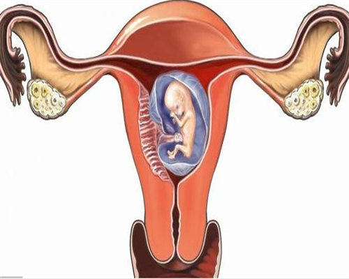 三代试管移植两次失败原因？三代试管移植两次失败原因是什么？~代怀试管机构