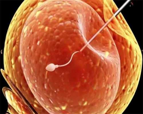 精子碰一下卵子就会怀孕吗~试管代生