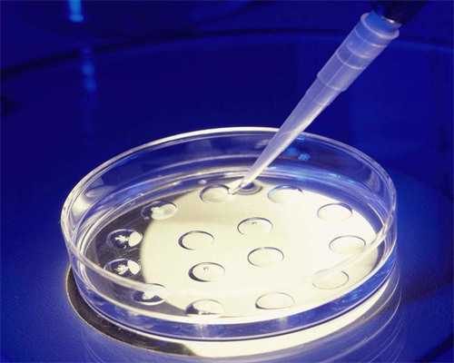 睾丸穿刺的费用介绍「睾丸穿刺费用」~包成功代生