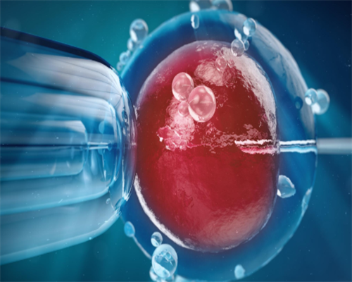 广州助孕婴儿吃什么头发多又黑