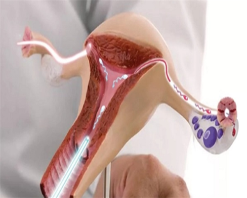 为什么我打了HCG针，但HCG值没有明显上升？,代怀供卵医院